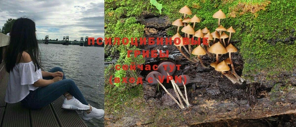альфа пвп Баксан